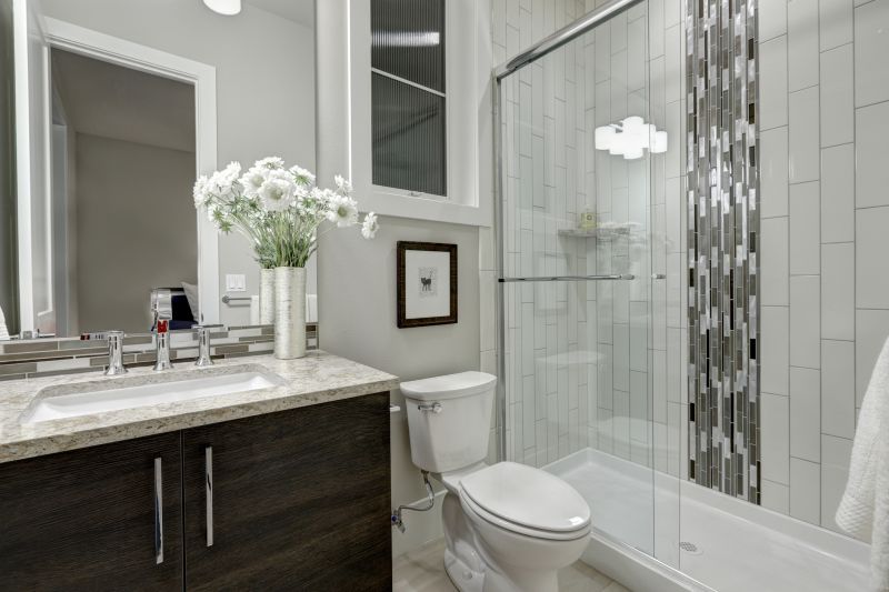 Contemporary Shower Area